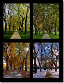 Seasons