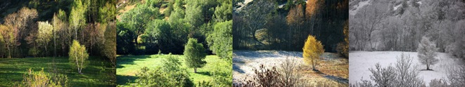 Four seasons