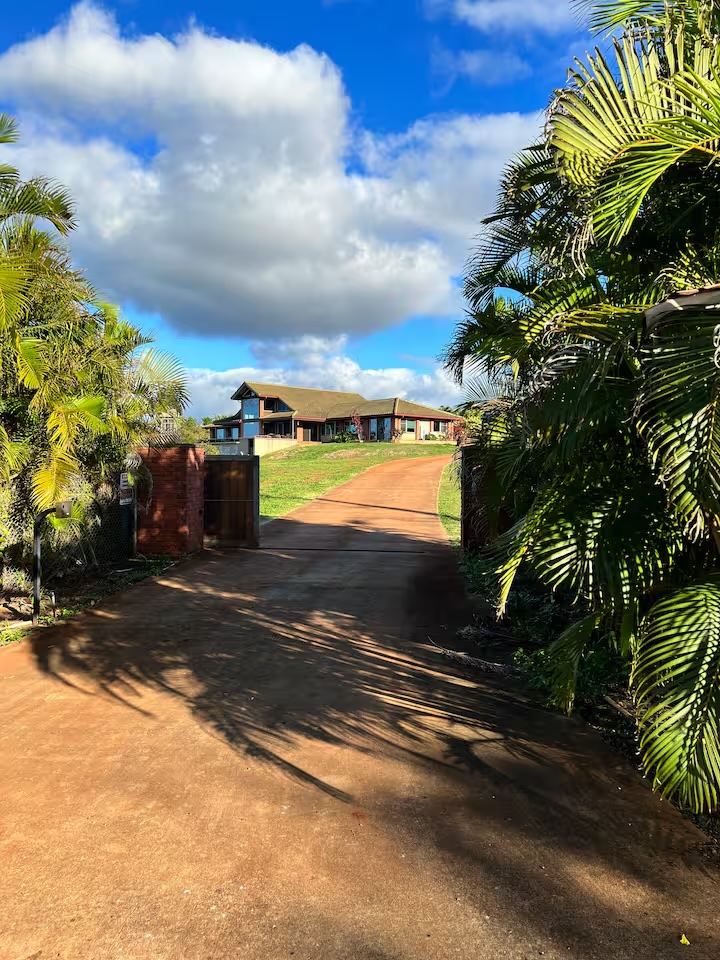 The gated driveway leading up to the house, lined with palms